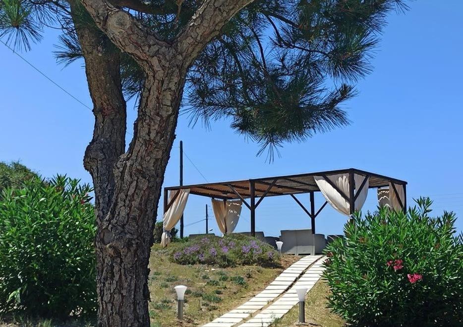 Elli Beach Apartments And Studios Almiros Beach Bagian luar foto
