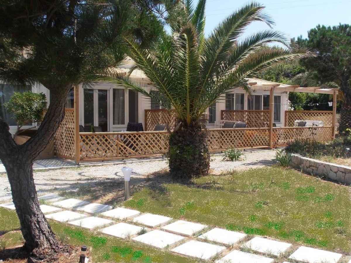 Elli Beach Apartments And Studios Almiros Beach Bagian luar foto