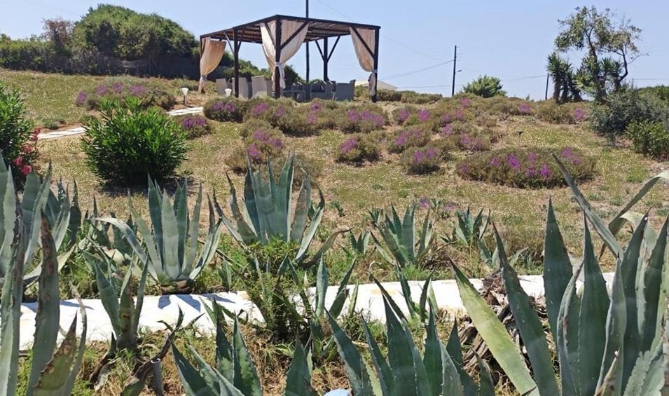 Elli Beach Apartments And Studios Almiros Beach Bagian luar foto