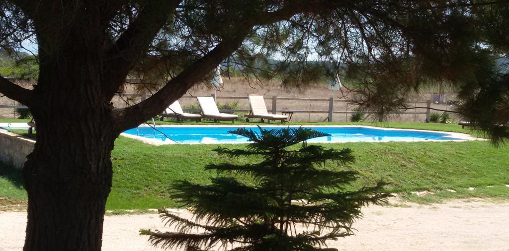 Elli Beach Apartments And Studios Almiros Beach Bagian luar foto