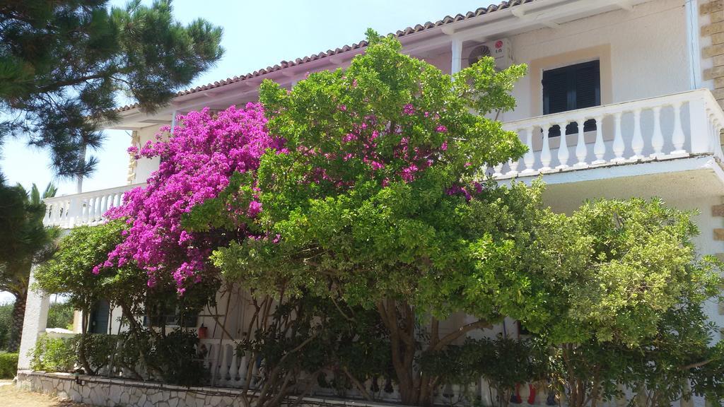 Elli Beach Apartments And Studios Almiros Beach Bagian luar foto