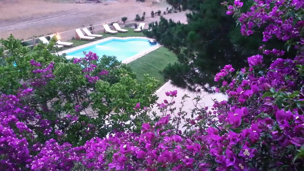 Elli Beach Apartments And Studios Almiros Beach Ruang foto